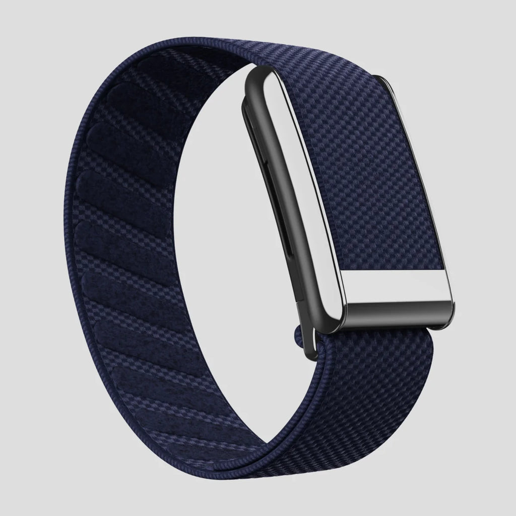 Midnight Navy