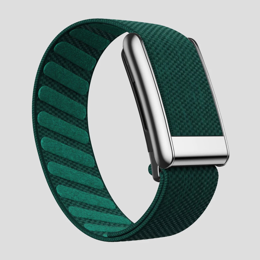 Deep Teal